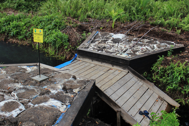 Infrastruktur Pembasahan Gambut yang dibangun oleh BRG pada tahun 2017 di Desa Lukun, Kepulauan Meranti  ©Pantau Gambut